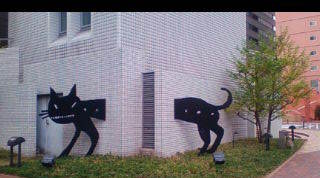 ブリーゼの黒猫.jpg